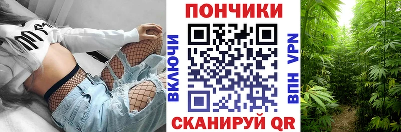 Конопля Amnesia  Кольчугино 